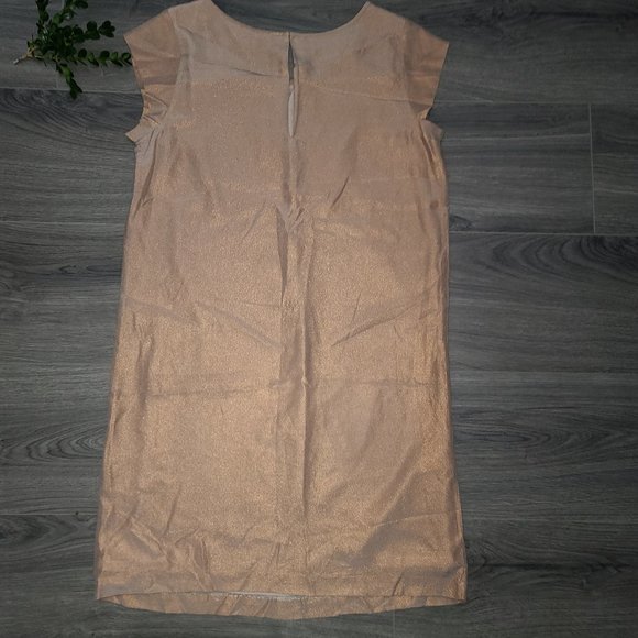 JOIE size S Silk Metallic Peach Shift Mini Dress Cap short sleeve - Picture 3 of 6